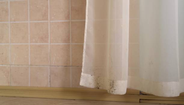 Mold Remediation for Rental Properties in Duncan, SC