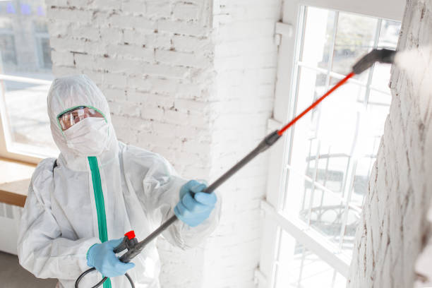 Best Mold Removal for HVAC Installations  in Duncan, SC
