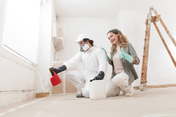 Best Real Estate Mold Inspection  in Duncan, SC